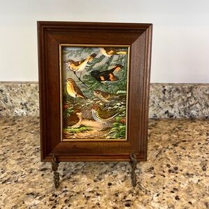Framed Vibrant Bird picture